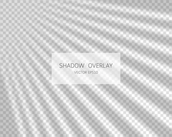 Schatten Overlay Effekt Natürliche Schatten Aus Dem Fenster Isoliert Auf — Stockvektor