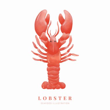 Beyaz arka planda suluboya ıstakoz. Dijital boya. Vektör illüstrasyonu.