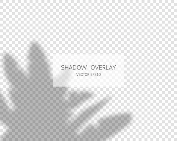 Εφέ Επικάλυψης Σκιών Φυσικές Σκιές Απομονωμένες Διαφανές Φόντο Εικονογράφηση Διανύσματος — Διανυσματικό Αρχείο