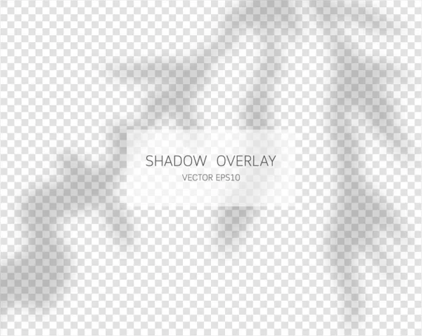 Schatten Overlay Effekt Natürliche Schatten Isoliert Auf Transparentem Hintergrund Vektorillustration — Stockvektor