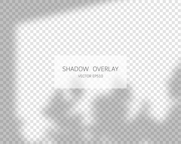 Schatten Overlay Effekt Natürliche Schatten Aus Dem Fenster Isoliert Auf — Stockvektor