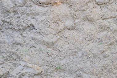 Arkaplan olarak kullanılacak eski bir evin duvarı