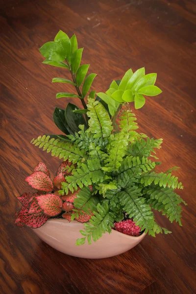 Colorful floral arrangement on a wooden floor — Stock Photo, Image