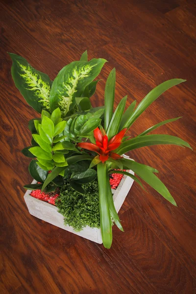 Kleurrijke bloemen regeling op een houten vloer — Stockfoto