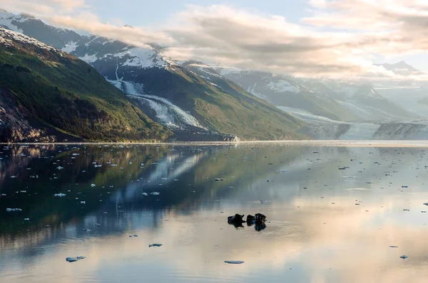 Alaska buzulların — Stok fotoğraf