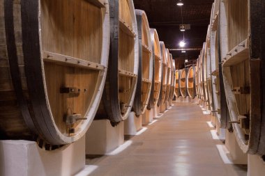 Şaraphanedeki şarap fıçıları