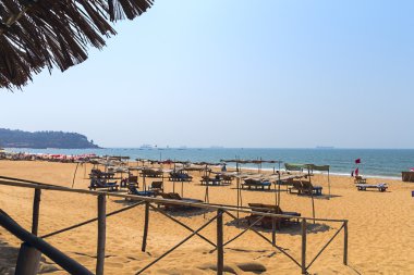 Candolim Beach