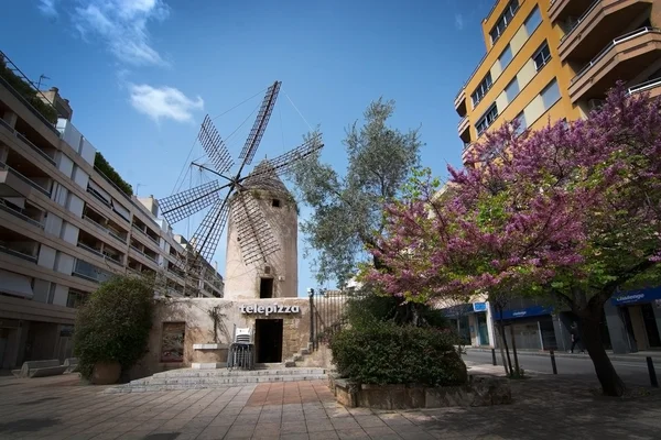 Quattro Molinos fırıldak — Stok fotoğraf