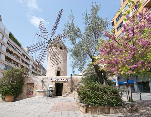 Mulino a vento a Quattro Molinos — Foto Stock