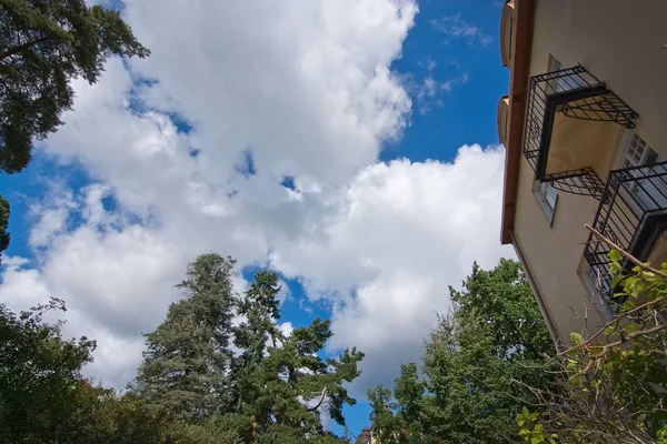 Green vegetation and summer clouds — Stock Photo, Image