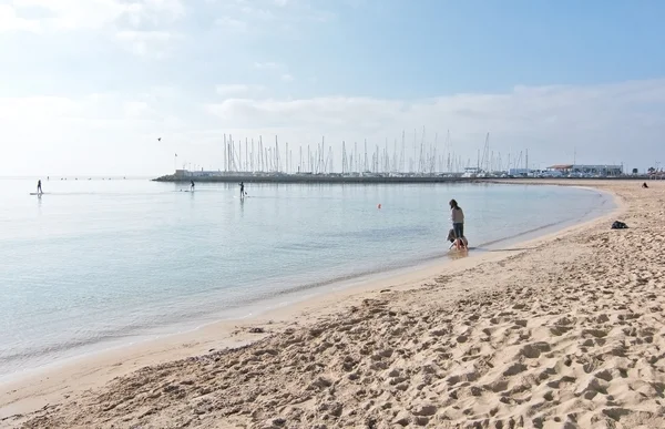 Koppel van meeuwen en stand-up paddle surfers — Stockfoto