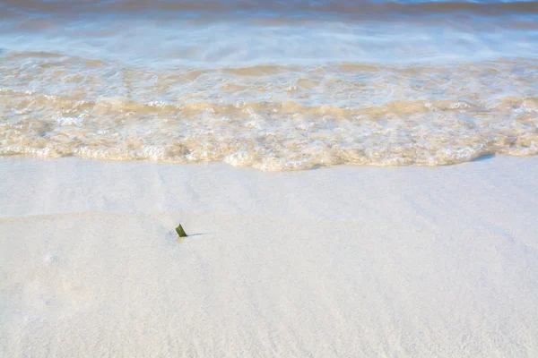 Olas matutinas en primer plano — Foto de Stock