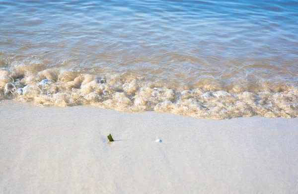 Olas matutinas en primer plano —  Fotos de Stock