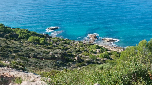 Green coast Majorca — Stock Photo, Image