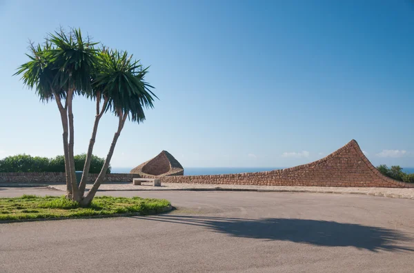 Palmeras de Sa Torre — Foto de Stock