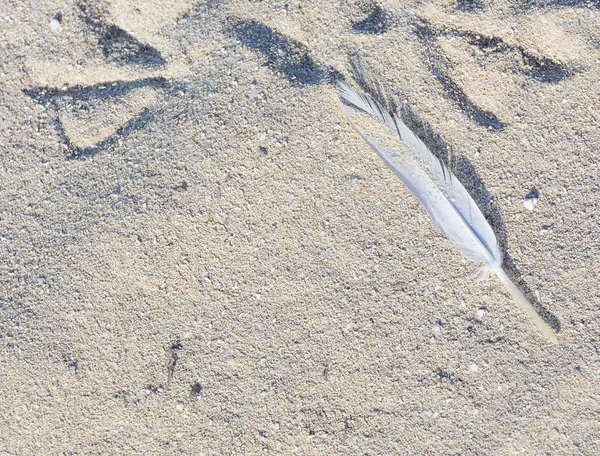 Pluma en arena — Foto de Stock