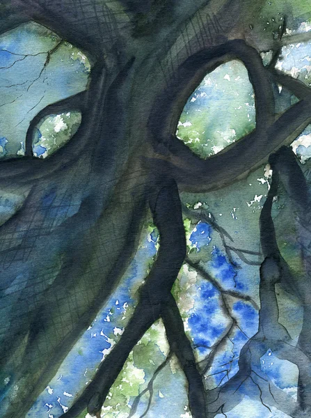 Árvore coroa céu azul — Fotografia de Stock