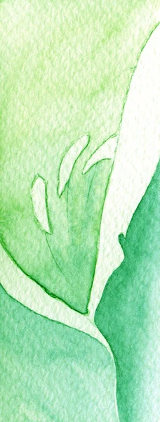 Yeşil çiçek dilim — Stok fotoğraf