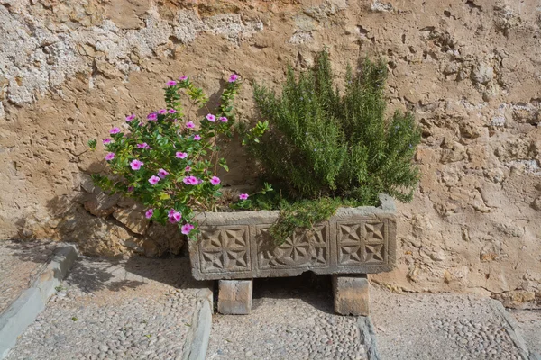 Mor çiçekler ile dekoratif Akdeniz seramik — Stok fotoğraf