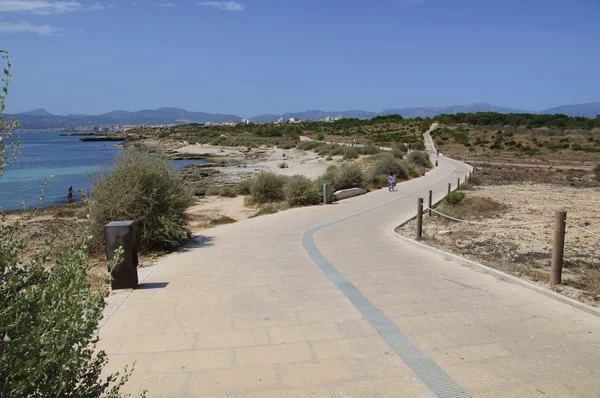 Ruta en bicicleta desde Arenal a Palma — Foto de Stock