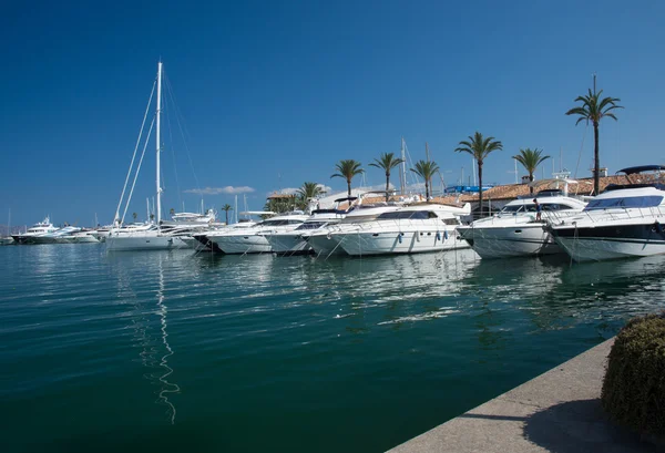 Yachts in Alcudia marina — Stock Photo, Image