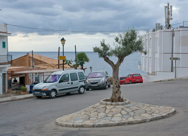 Small roundabout with tree and ocean view — Stock Photo, Image