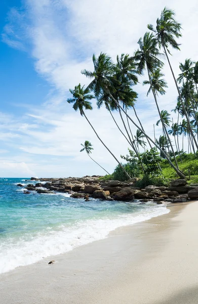 Tropické Skalnatá pláž — Stock fotografie