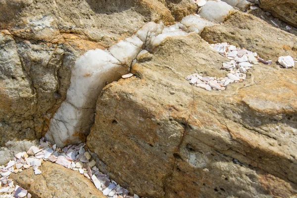 Vena di calcite nella roccia — Foto Stock