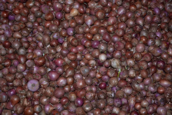 Cebollas coloridas — Foto de Stock