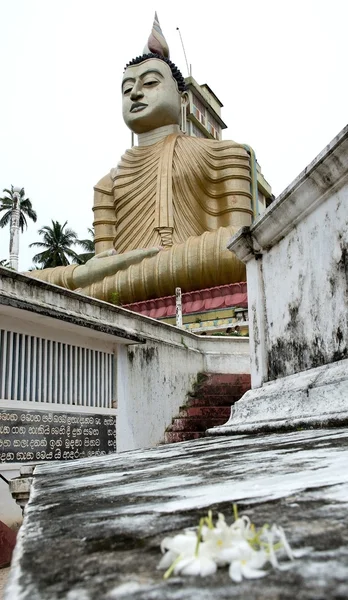 Sri Lanka największych siedzący statua Buddy — Zdjęcie stockowe