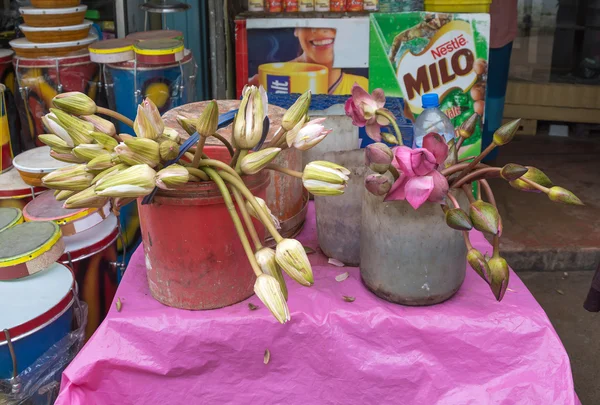 Botões de flor de lótus para venda — Fotografia de Stock