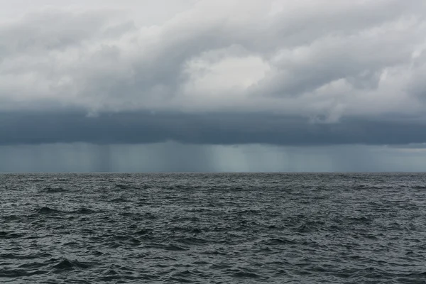 Tropical rain — Stock Photo, Image