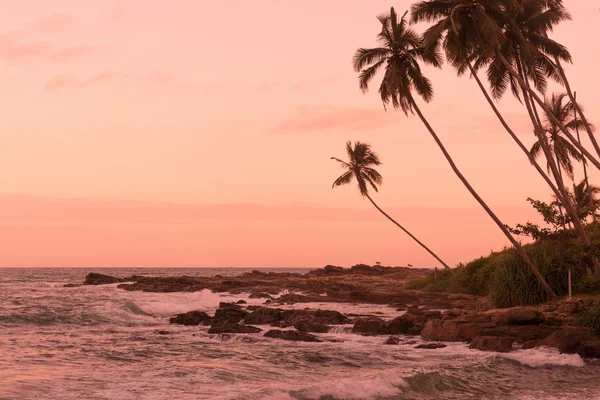 Růžové slunce Rocky Point — Stock fotografie