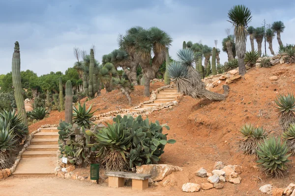 Escadaria em Jardim Botanicactus Maiorca — Fotografia de Stock