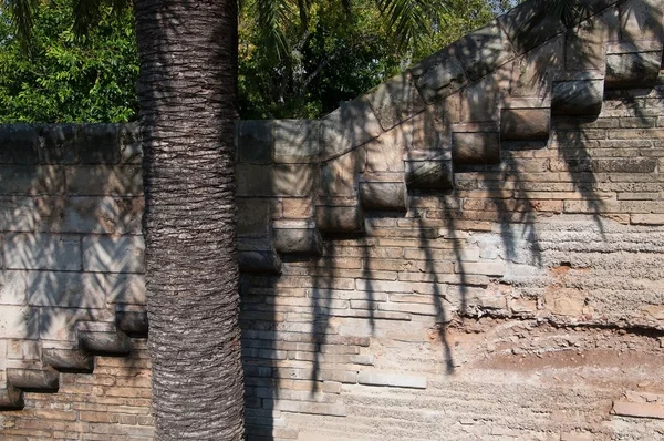 Zikzak desen ve palmiye ağacı ile eski duvar — Stok fotoğraf