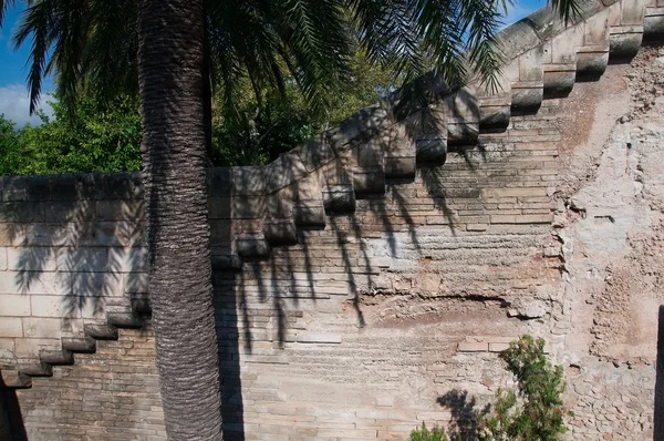 Old masonry with zigzag pattern and palm tree — Stock Photo, Image