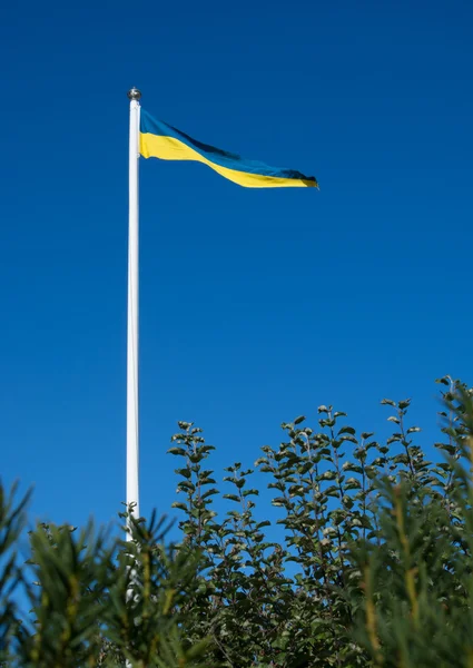 Zweedse vlag — Stockfoto