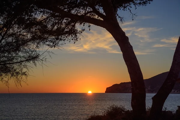 Árvore moldura por do sol — Fotografia de Stock