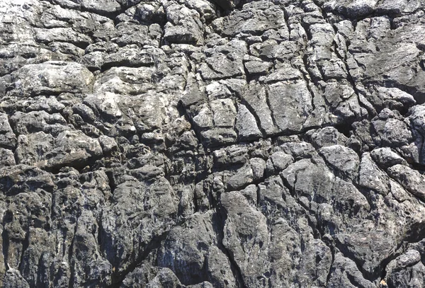 Verweerde kalksteen rots achtergrond — Stockfoto