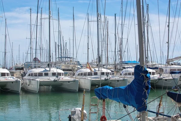 Katamarány a jachty kotvící v přístavu Palma — Stock fotografie
