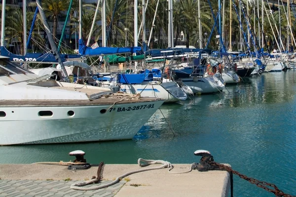 Medelhavets havs scen med yachter, palmer och båtplatser — Stockfoto