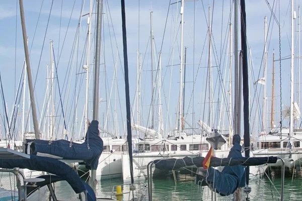 Catamarano e yacht alberi primo piano a Palma marina — Foto Stock