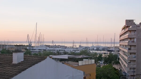 Morning colors over Santa Catalina — Stock Photo, Image