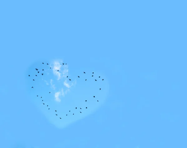 Bird heart shape blue sky — Stock Photo, Image