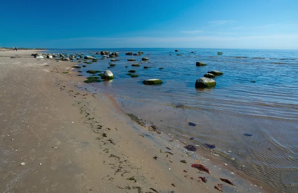 Bentang pantai Sandy — Stok Foto