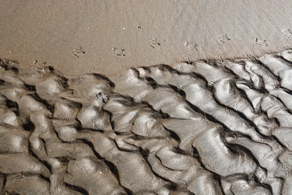 모래 추상 패턴 — 스톡 사진