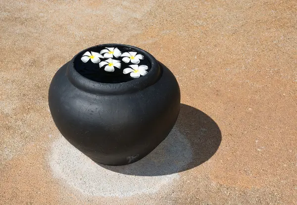 Flores de Frangipani flutuando na urna da água — Fotografia de Stock