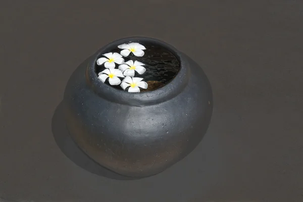 Frangipani flowers floating in water urn — Stock Photo, Image