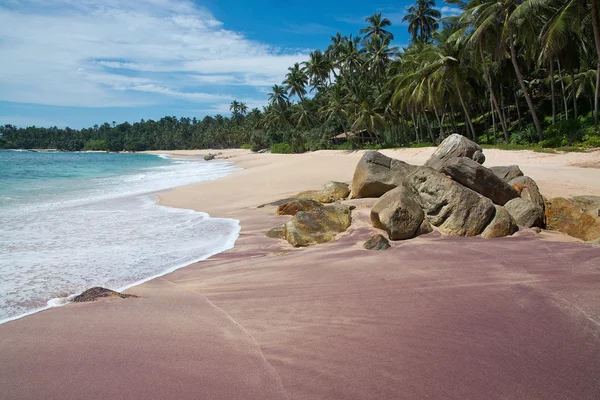 Paradise beach with green turquoise waves — Stock Photo, Image