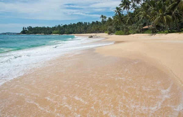 Paradise beach with green turquoise waves — Stock Photo, Image